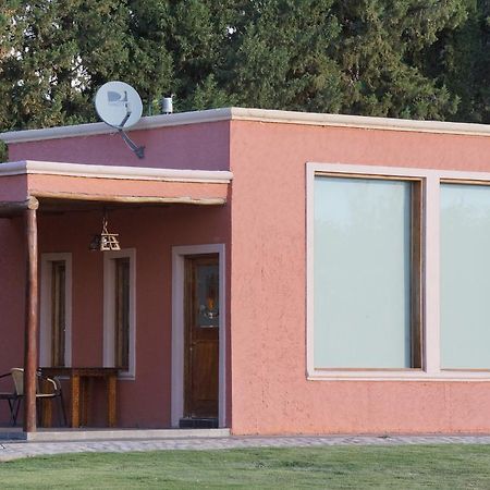 Complejo Rio Los Patos - Apartamentos Barreal Kültér fotó